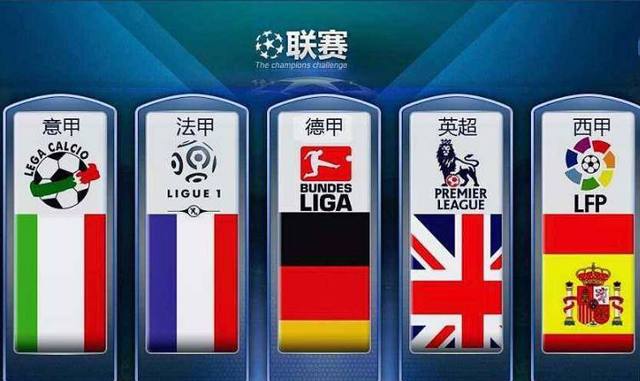 国羽新生代